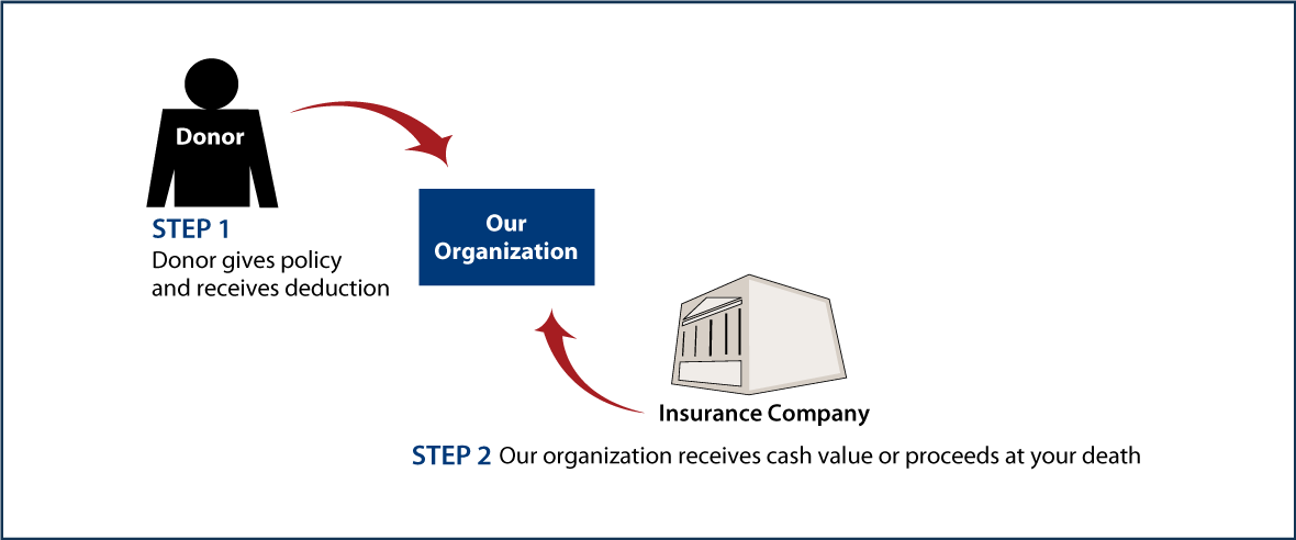 Life Insurance Policy Thumbnail